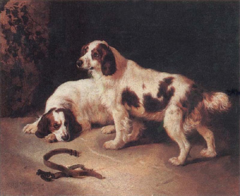 George Horlor Brittany Spaniels oil painting picture